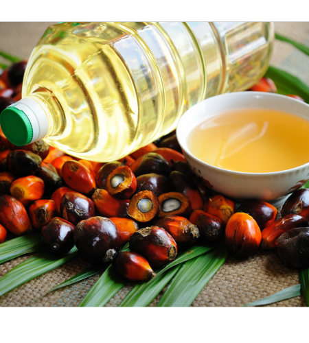 RBD Palm Oil-image